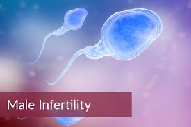 e0215-male2binfertility2b03